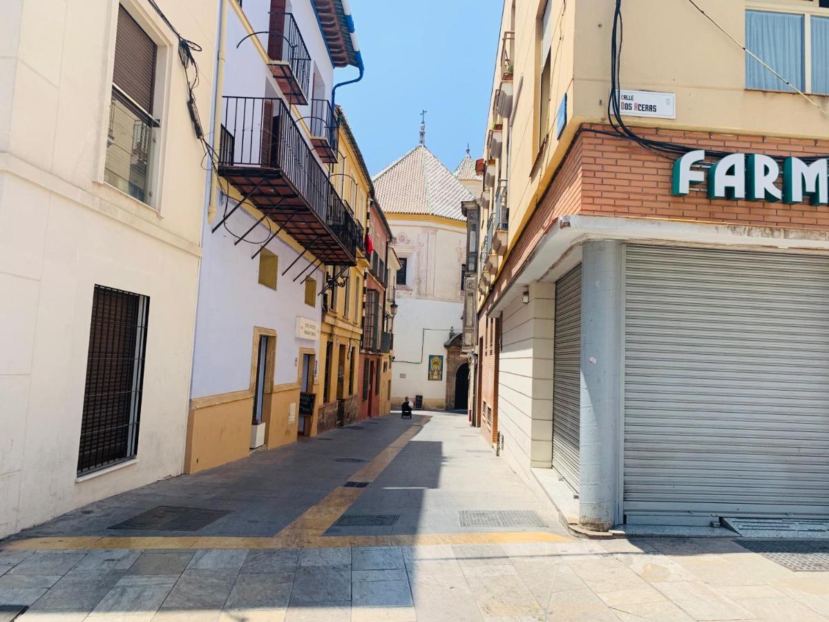 Homely Malaga Parras Con Terraza Interior Y Parking Privado Bajo Suplemento Buitenkant foto